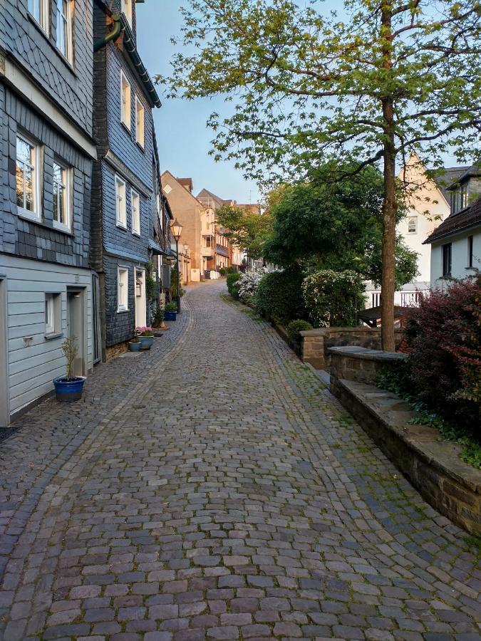 ジーゲン Rubens Hausヴィラ エクステリア 写真
